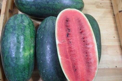 黑料吃黑瓜网多少,揭秘网络黑料的生成与传播  第2张