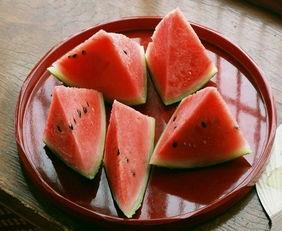 吃瓜网红网 第3张 吃瓜网红网 第3张