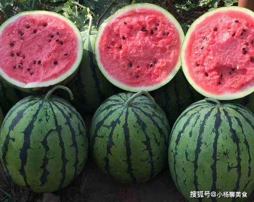 吃瓜官网免费观看,吃瓜官网带你开启无广告观影之旅  第3张