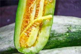 吃瓜爆料网红最新免费,吃瓜爆料最新免费资讯大盘点  第2张