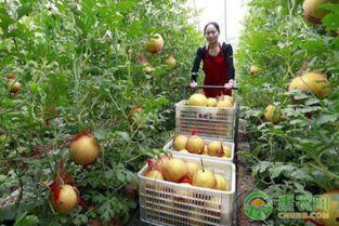 吃瓜爆料专用楼2  第3张