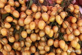 雪梨娱乐吃瓜 第3张 雪梨娱乐吃瓜 第3张