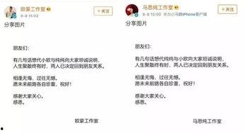 娱乐圈吃瓜张翰视频,揭秘明星幕后故事  第3张